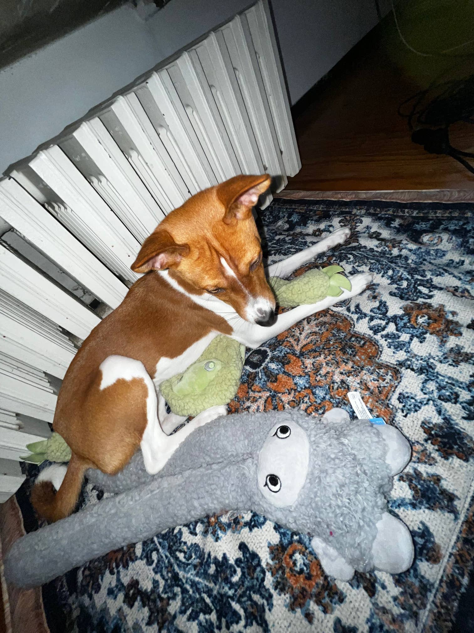 United Pets - Vente Peluche – chien - Jouet en peluche antistress avec huiles essentielles - Rosicchio5