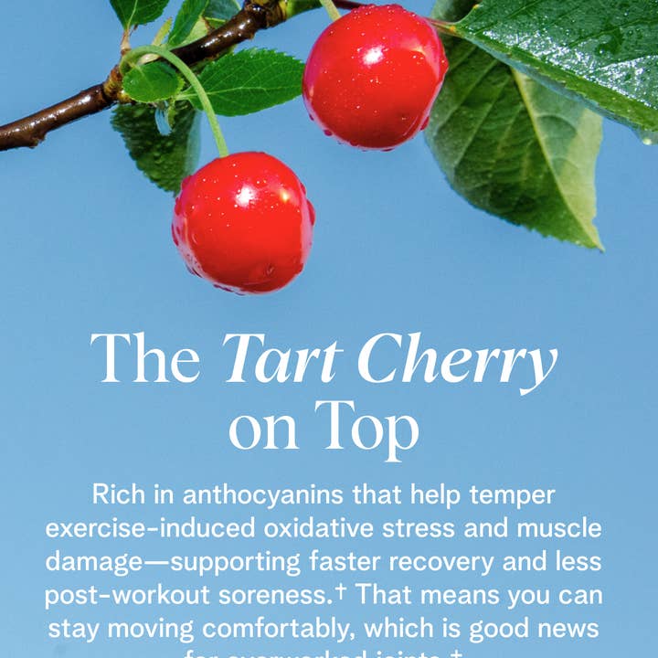 Ora Organic – wholesale Protein/superfood powder – Plant Protein for Lifelong Strength5