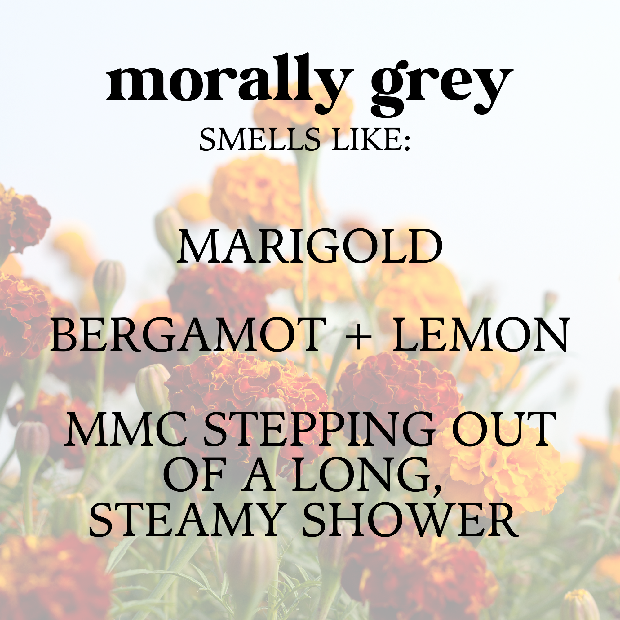 Literari Goods, Co | Book Themed Candles + Gifts - Wholesale Jar/Filled Candle - Bookish Travel Candle | Bookstore Candle | Christmas Gift4