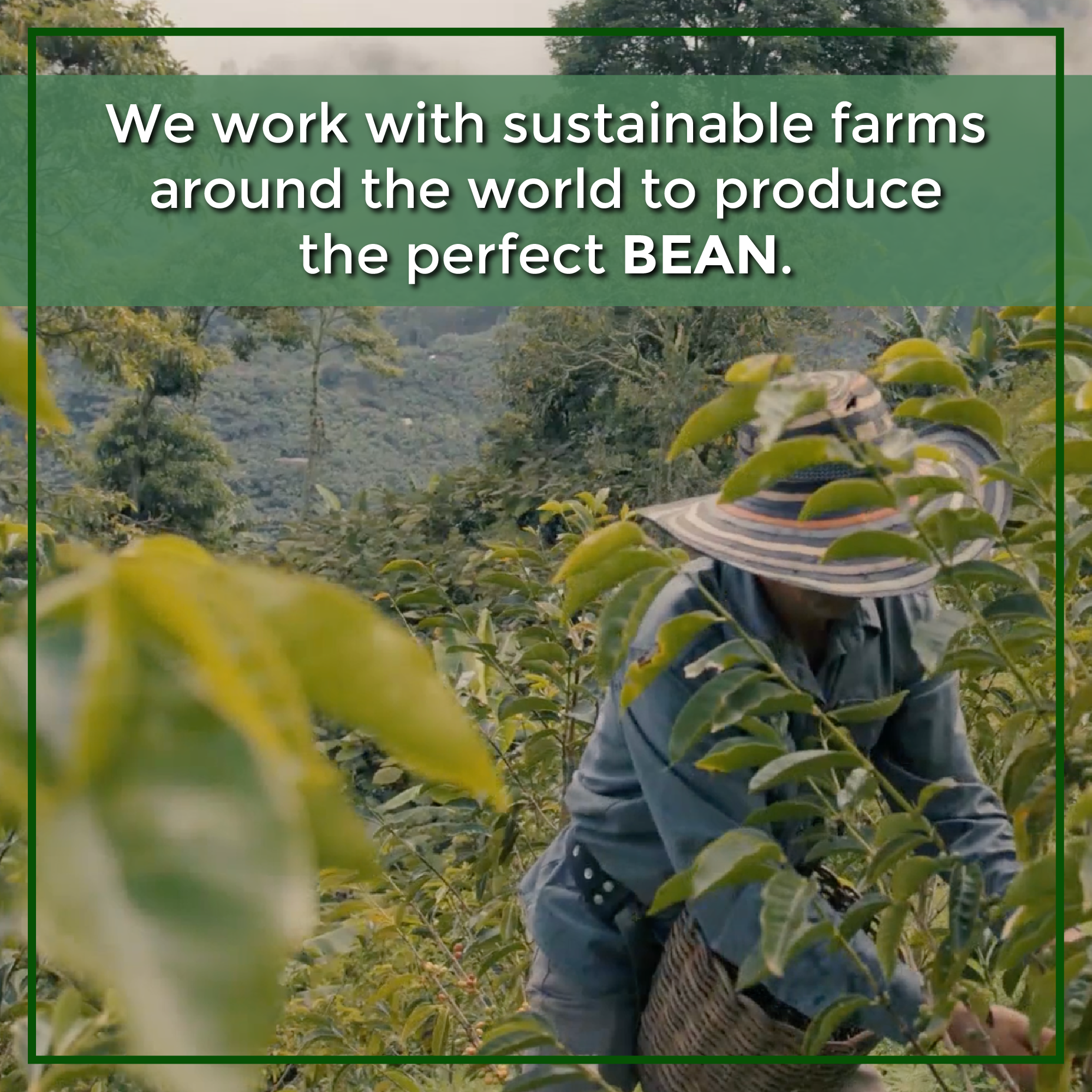 The Bean Coffee Company - Wholesale Ground Coffee - DECAF Organic Caramel Flavored Coffee6