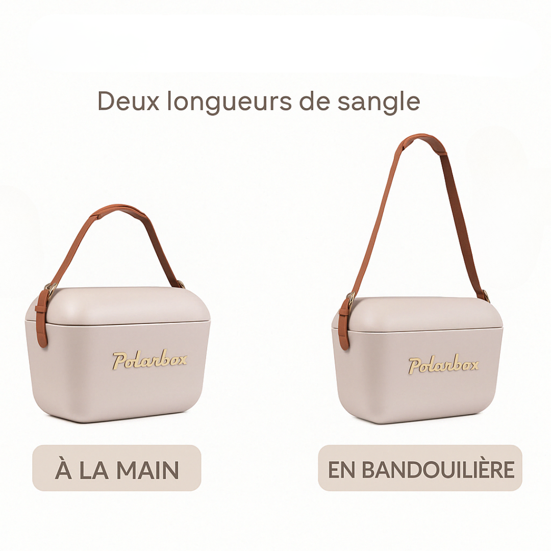 BADAWIN - Venta al por mayor Nevera portátil/bolsa de refrigeración - Nevera Polarbox Pearl 20 L - Oro9