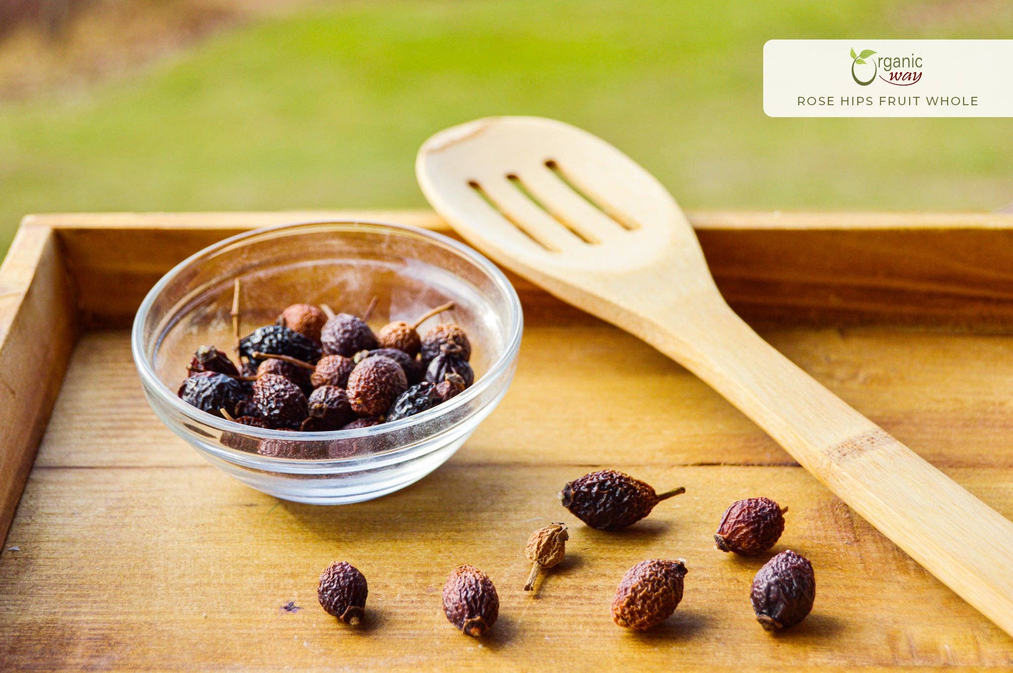 Organic Way LLC - Vendita all'ingrosso Frutta secca/disidratata - Frutto di cinorrodo intero premium (Rosa canina) - raccolto selvatico europeo | Certificato kosher | Vegano, non OGM e senza glutine | Certificato USDA | Origine Albania4