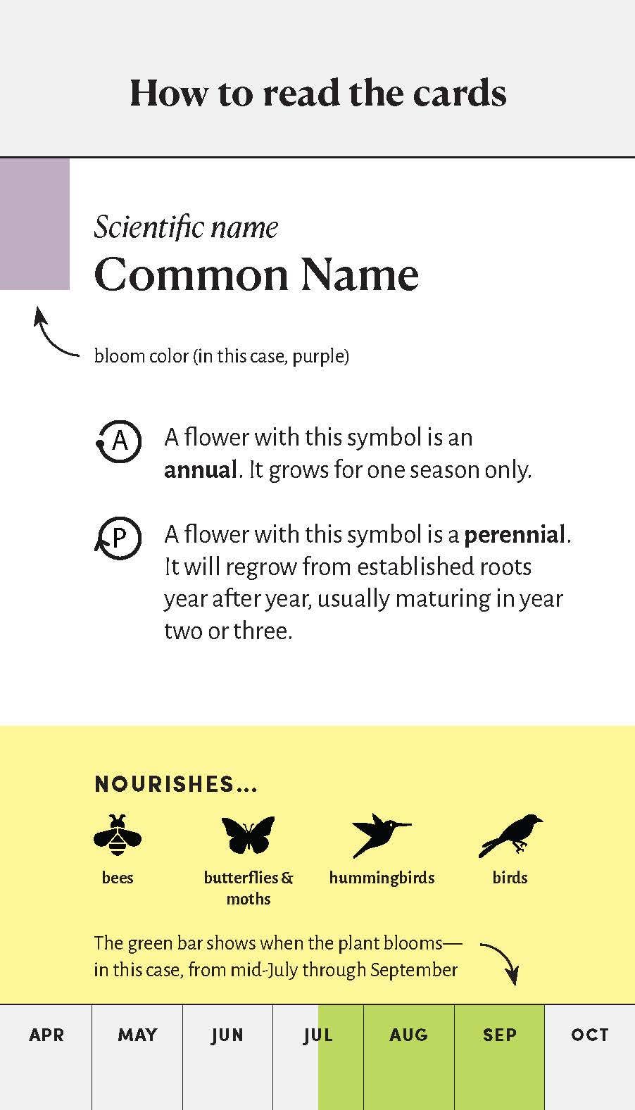 Chronicle Books - Wholesale Card Game - Pollinator Garden Planning Deck3