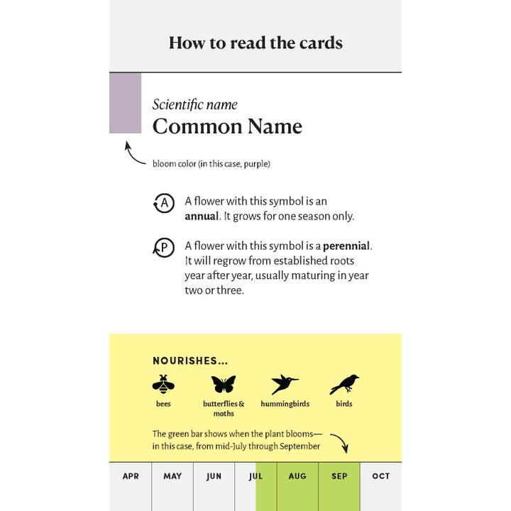 Chronicle Books - Wholesale Card Game - Pollinator Garden Planning Deck3