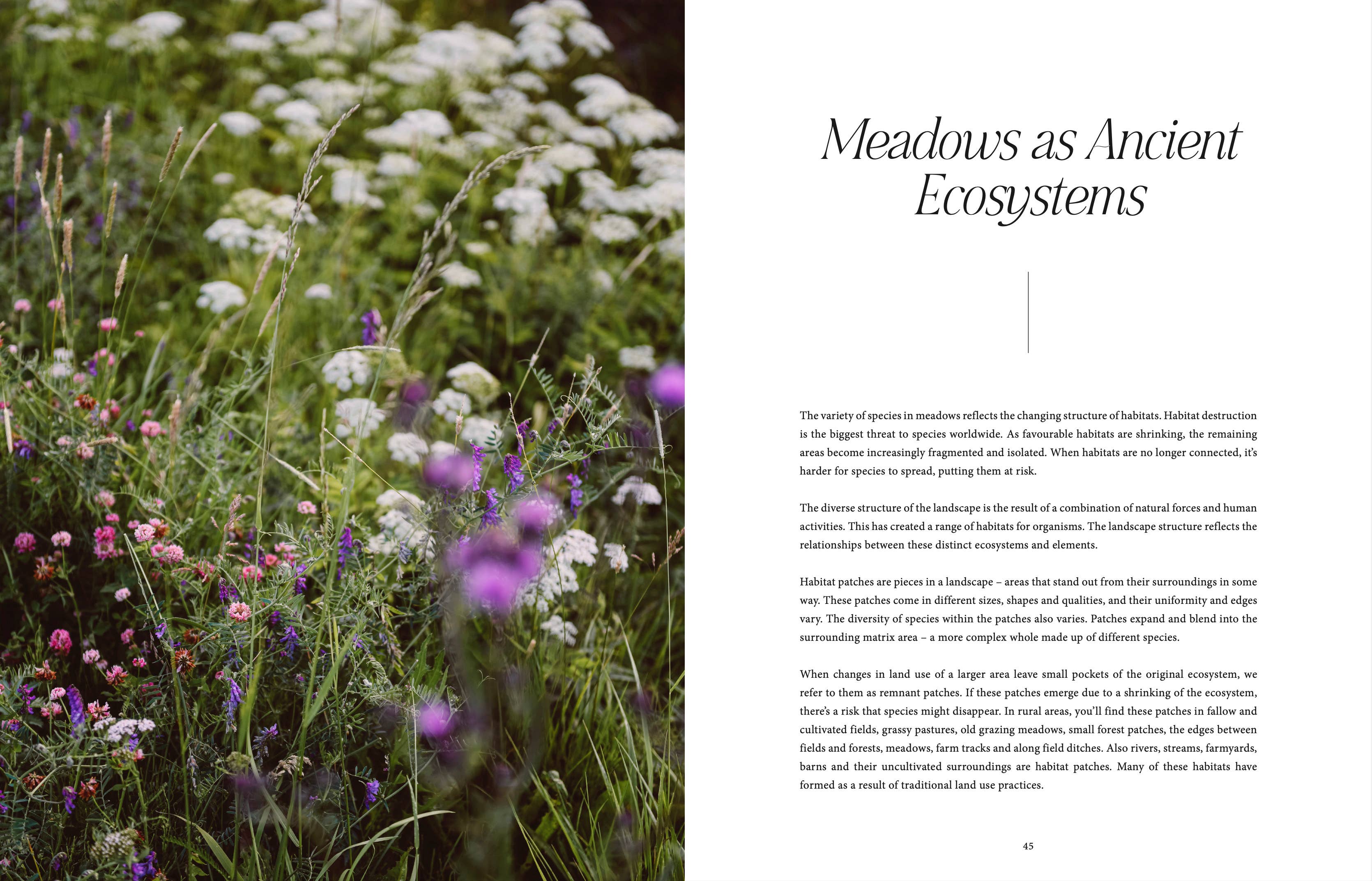 Cozy Publishing - Wholesale Home & Garden Book - Where Flowers Bloom7