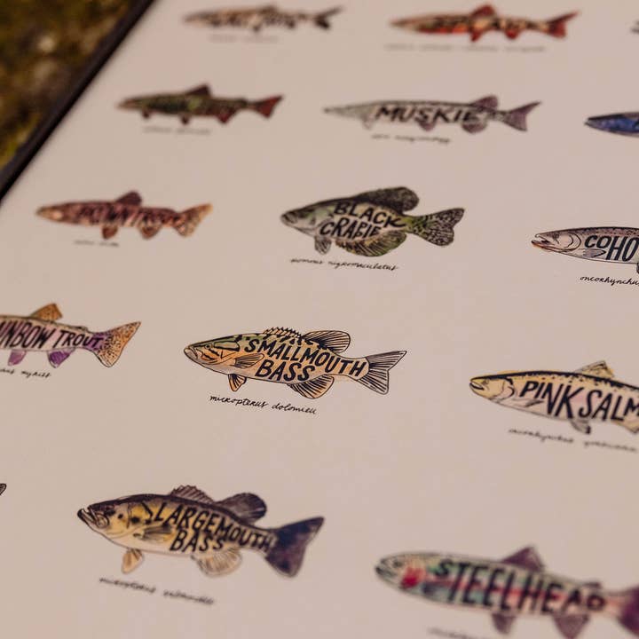 Home Squirrel - Wholesale Art Print - Fish of Michigan Watercolor Print3