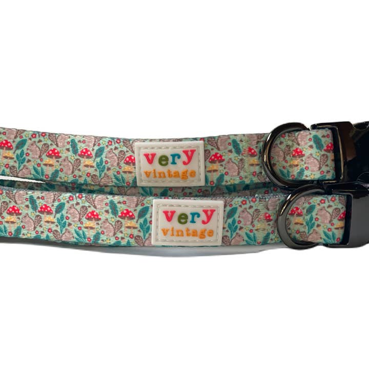 Feelin’ Squirrely Dog Collar – Woodland Squirrel Print for wholesale by Very Vintage Designs