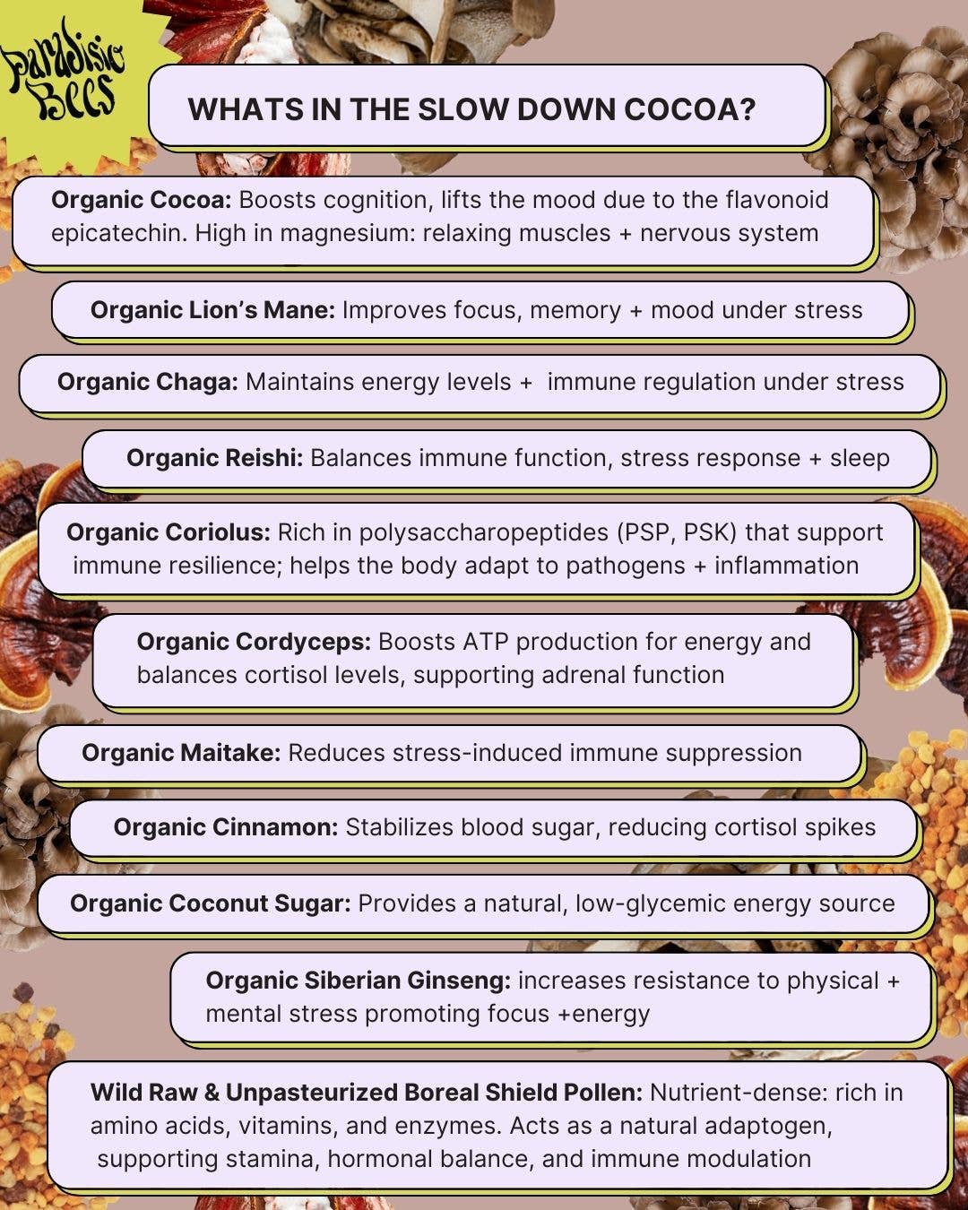 Paradisio Bees - Wholesale Hot Cocoa Mix/Kit - SLOW DOWN MUSHROOM COCOA3