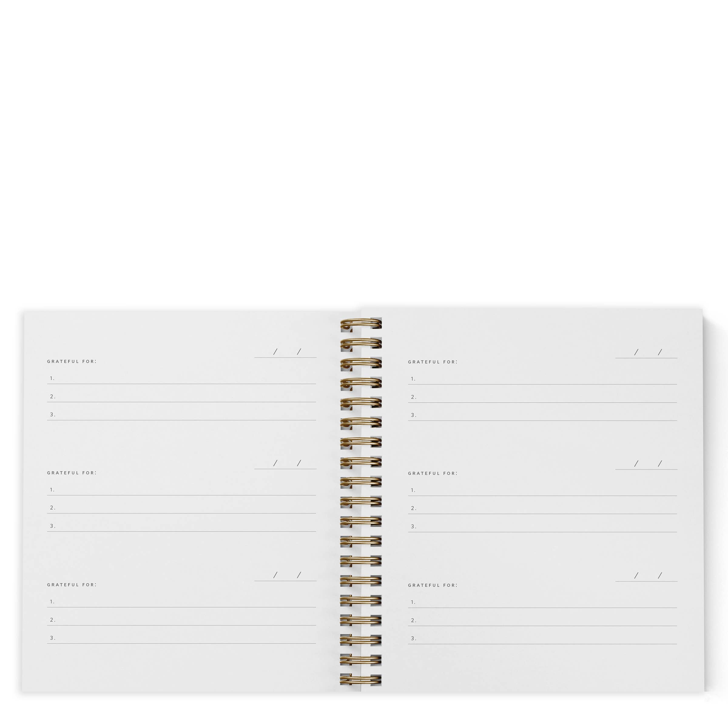 Ramona & Ruth - Vente Journal intime - Mini journal de gratitude | Couleurs assorties8