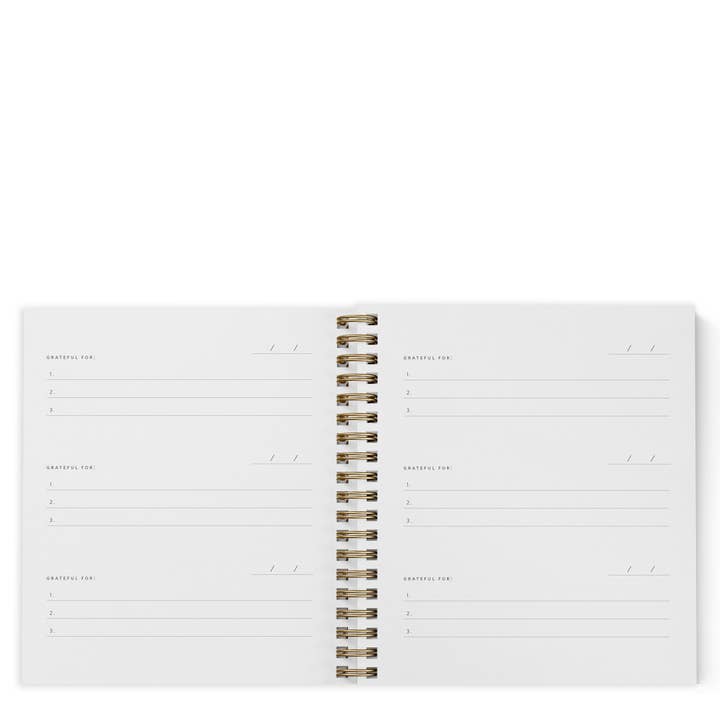 Ramona & Ruth - Vente Journal intime - Mini journal de gratitude | Couleurs assorties8