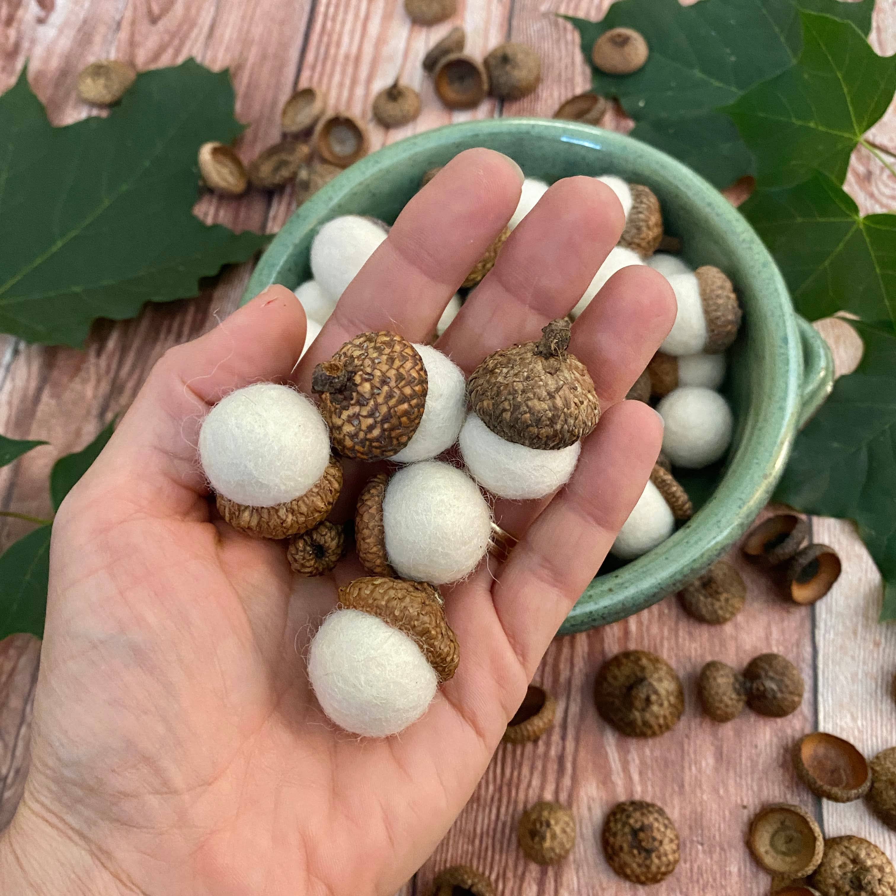Oakwind Hollow - Wholesale Decorative Tabletop Object - Felt Wool Acorns Fresh Cream - Regular Size2