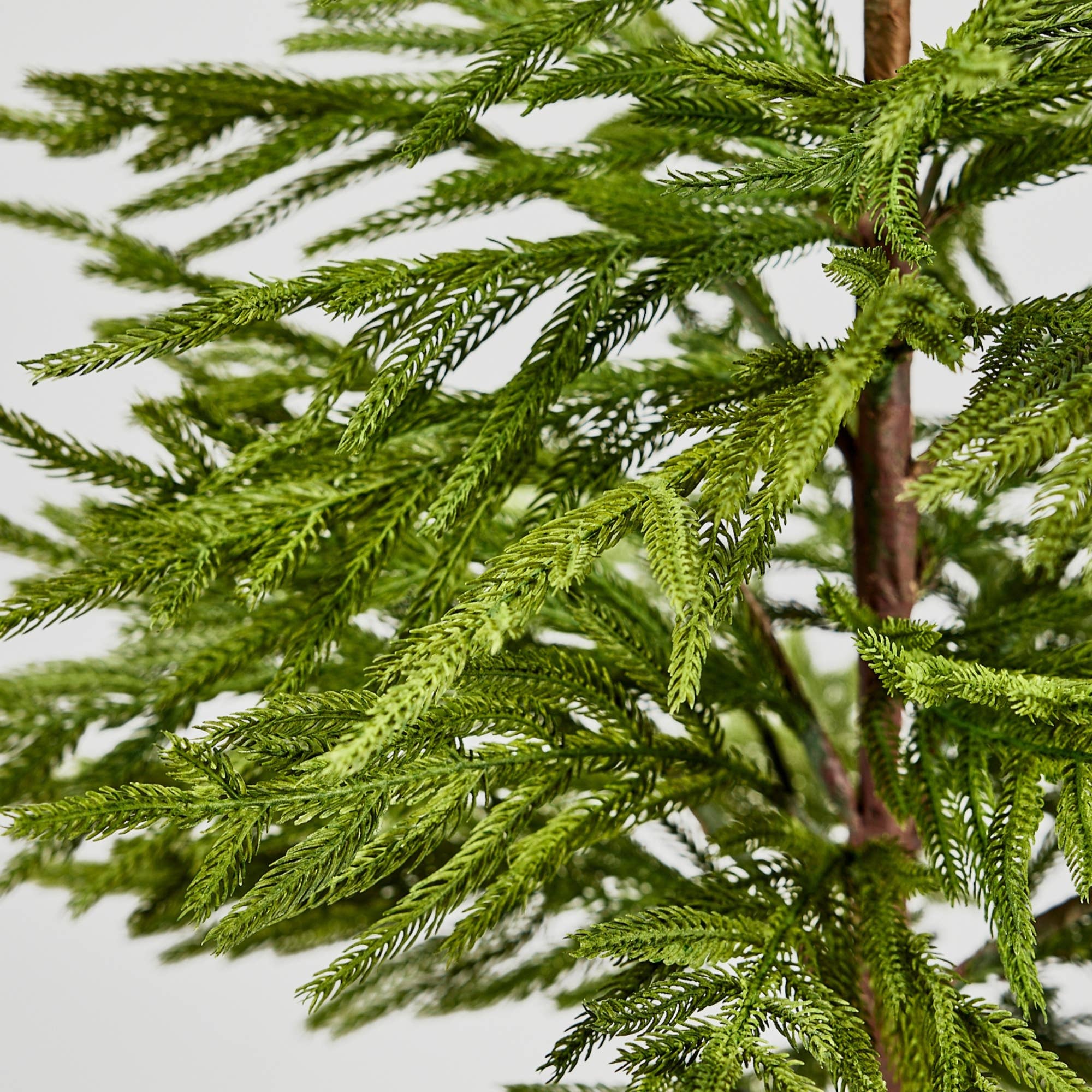 Afloral - Wholesale Artificial Plant - Afloral™ Artificial Norfolk Pine Tree - 36"1