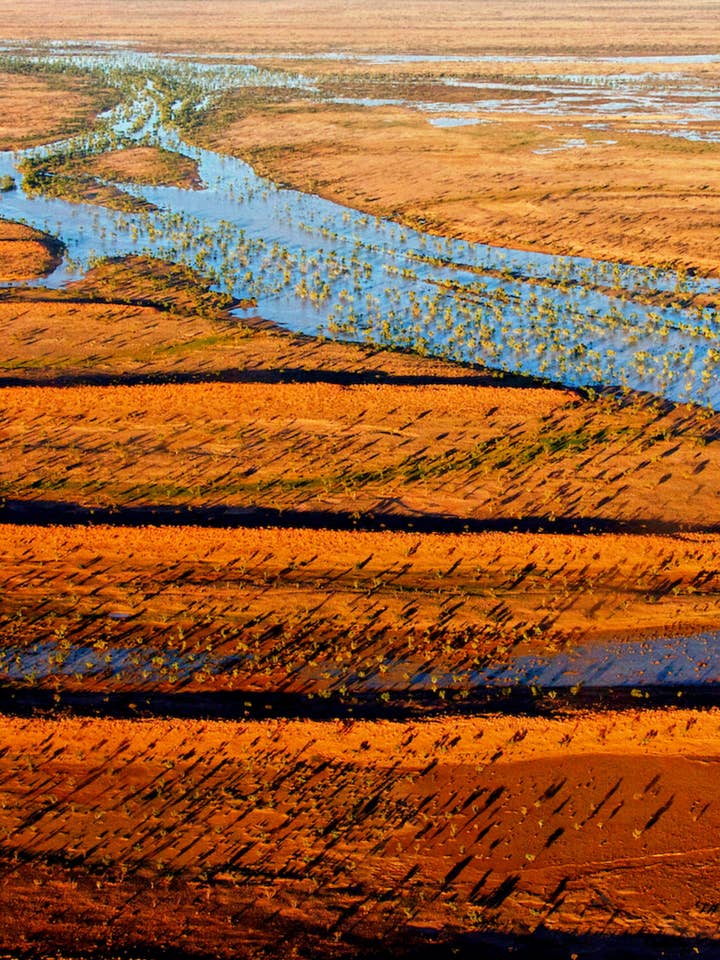 Australia Scape - Wholesale T-shirt (graphic) – unisex - Simpson Desert 100% Cotton T-shirt – Made in Australia1