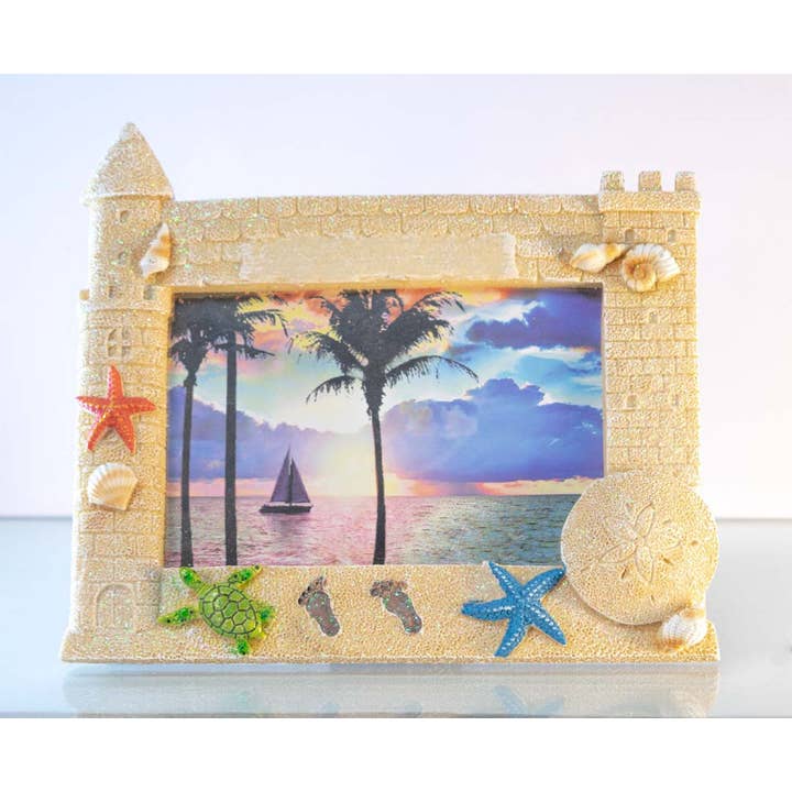 Marco Sand Dollar para venta al por mayor de Sea Creations