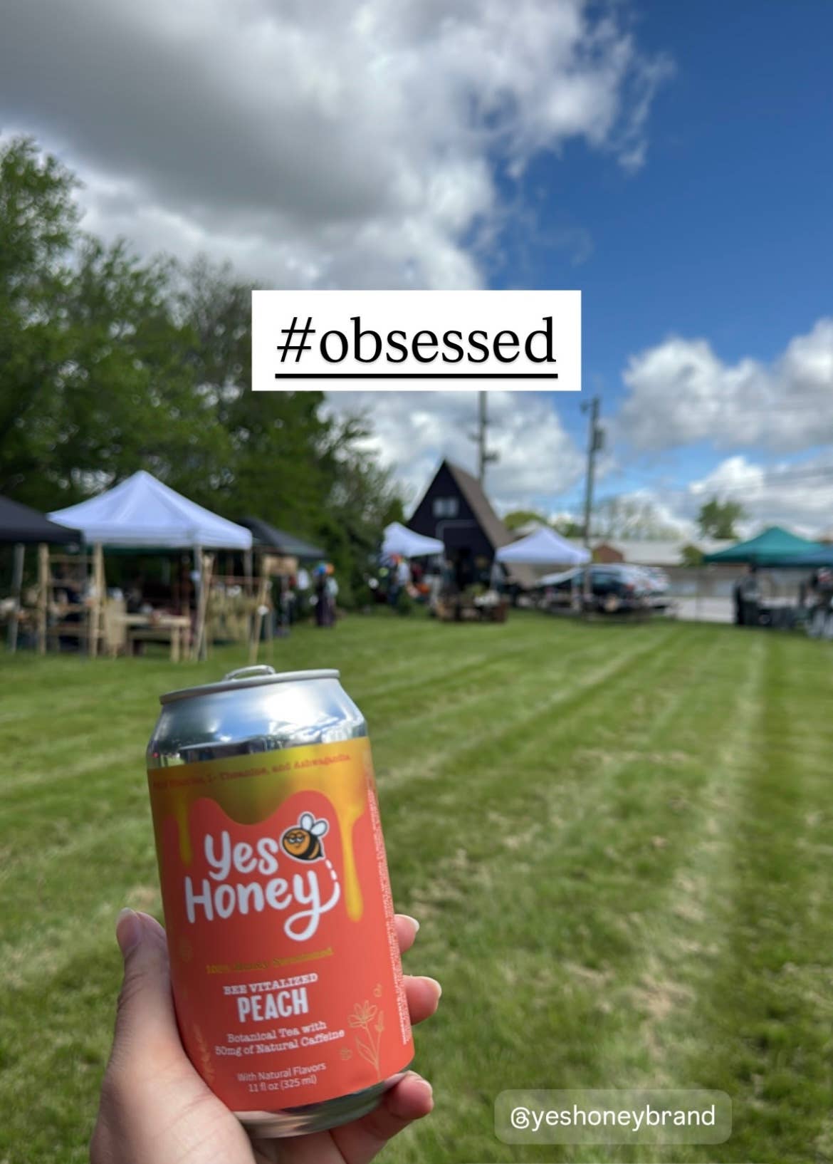 Yes Honey - Wholesale Soda/Carbonated Drink - Yes Honey - 100% Honey Sweetened Soda - Peach Vitality7