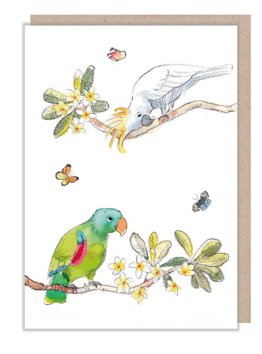 Popshots Studios - Wholesale Everyday Greeting Card - Paper shed parrots1
