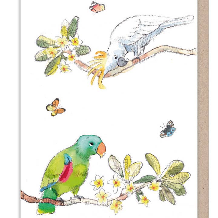 Popshots Studios - Wholesale Everyday Greeting Card - Paper shed parrots1