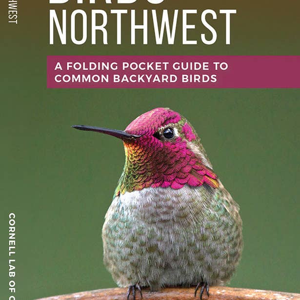 Feeder Birds Of The Northwest Pocket Guide for wholesale by Birds Choice
