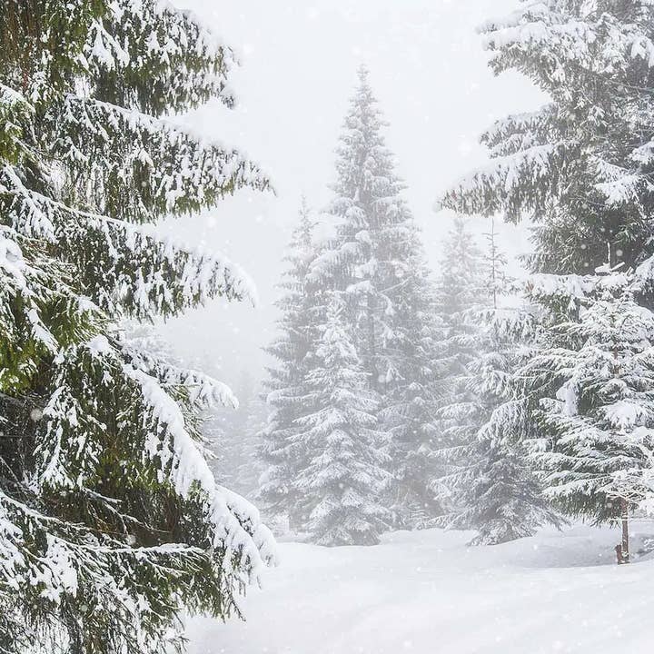 Duftöl -Winter Storm für den Großhandel von Arômes & Évasions