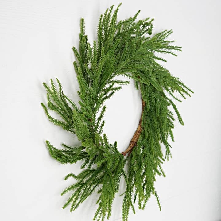 Holiday Depot Inc. - Wholesale Wreath - 31850- 24in Wreath-Soft touch Evergreen Norfolk Pine-2