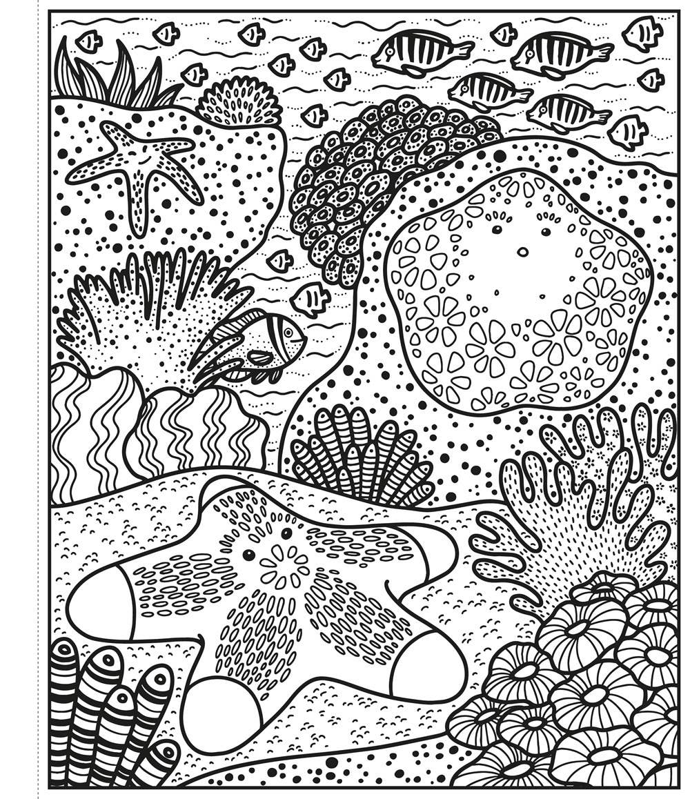 HarperCollins - Wholesale Coloring & Activity Book - Kids & Baby - Coral Reef Magic Painting Book : Usborne2