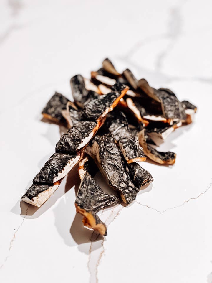 Air-Dried USA Alligator Hornback Skins, 5-7 in - 20 count for wholesale by Mosaic Pet Food