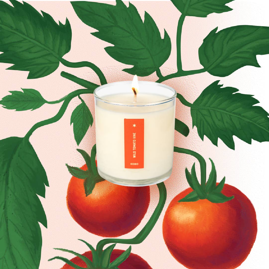 KOBO - Vendita all'ingrosso Candela in vasetto - Candela Wild Tomato Vine - Plant the Box - 9oz8