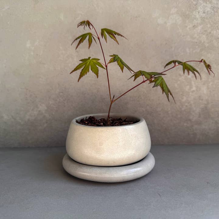 Minimal Loot Design – wholesale Kruka – Liten planteringsmaskin med dränering, söt växtkruka, bubbelplanterare, suckulentplanterare, dekorativ betongkruka, rund bonsaikruka, knubbig minikruka
