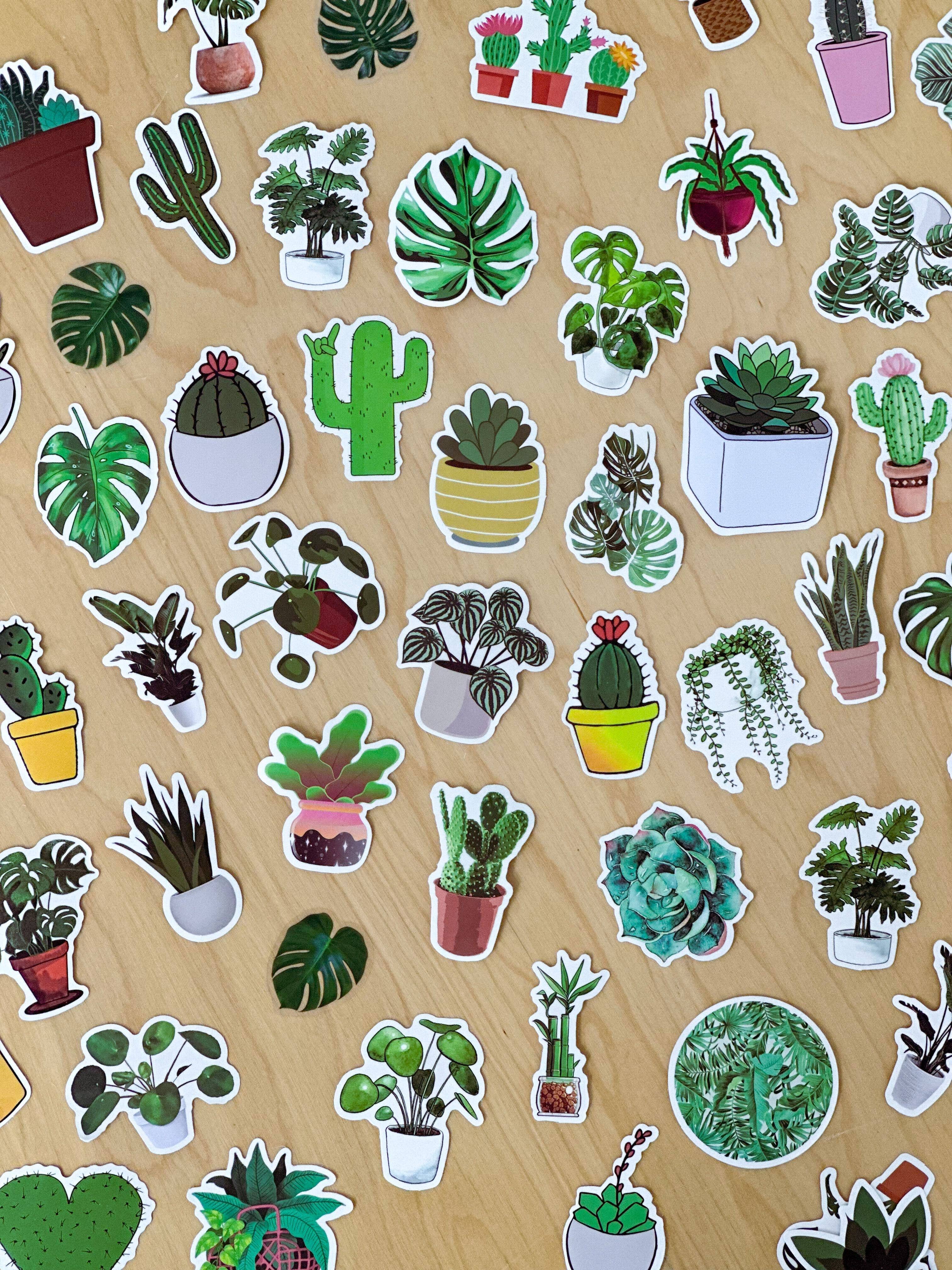 The Plant Supply - Wholesale Sticker - Plant Sticker Pack | Houseplant Sticker Mystery Pack3