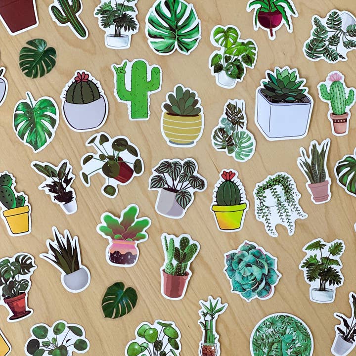 The Plant Supply - Wholesale Sticker - Plant Sticker Pack | Houseplant Sticker Mystery Pack3