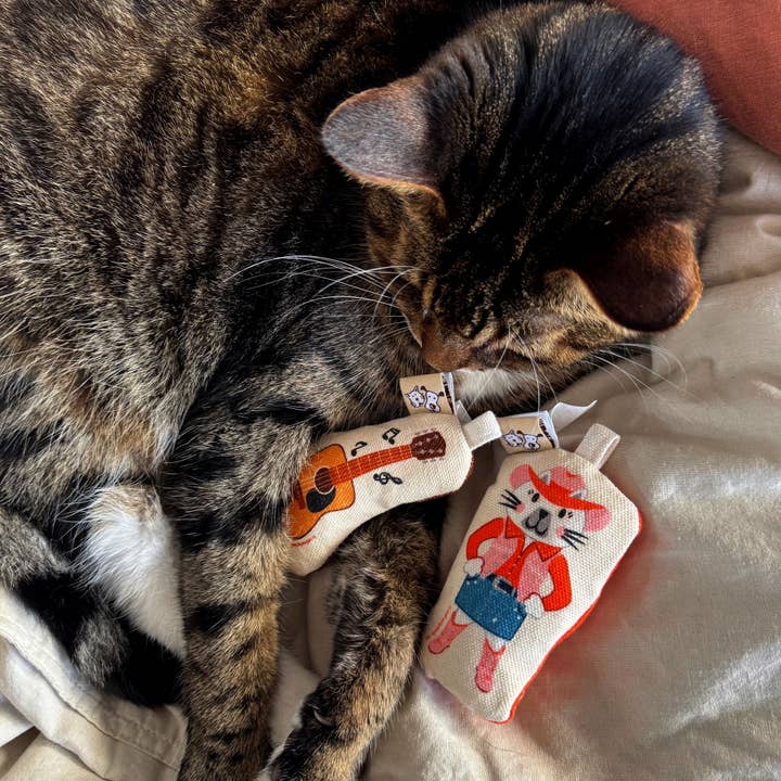 Speckle and Spot by Ore’ Originals - Wholesale Pet Toy Set - Cat - Go Kitty Go Cat Toy Set | Country Music Kitty6