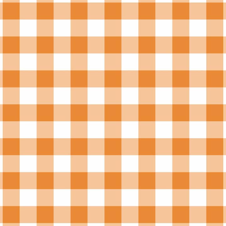 Beau Bottles - Vendita all'ingrosso Busta regalo per vino - Beau Bottles Arancione e Bianco Gingham - Collezione MINI Prosecco - Confezione da Sei4