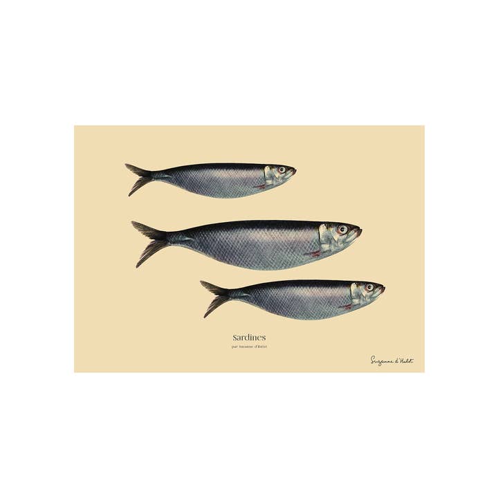 Sergeant Paper - Wholesale Art Print - Suzanne D'Hulst - Sardine - Food Art Print