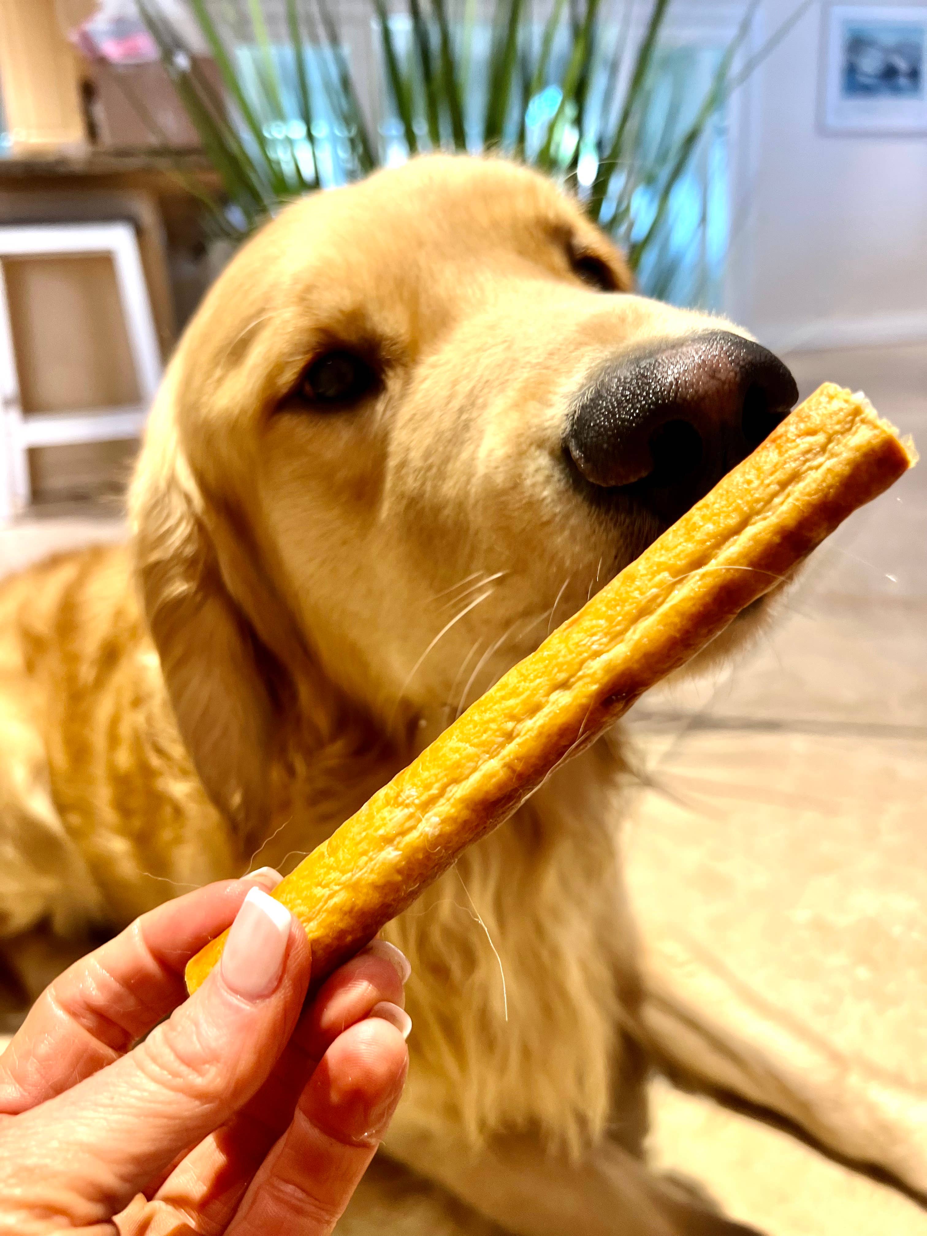 Live Pawsitive - Wholesale Pet Treats - Dog - Chicken Sausage for Dogs, Single ingredient treat, 6 per pkg2