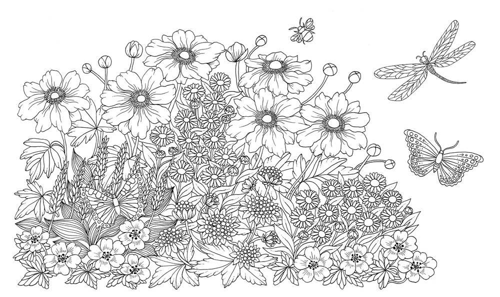 Gibbs Smith - Vente Livre de coloriage et d'activités pour adultes - Livre de coloriage Nightfall2