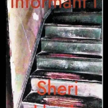 Books by splitShops - Wholesale Book - Adult - Informant i - Paperback