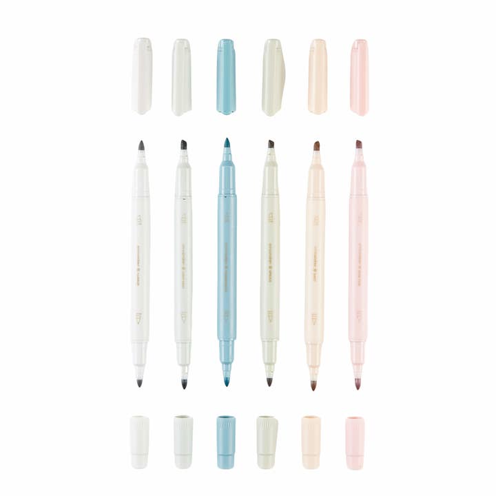 Lot de 6 surligneurs à double pointe - Canvas Asterisk pour la vente par Erin Condren Design