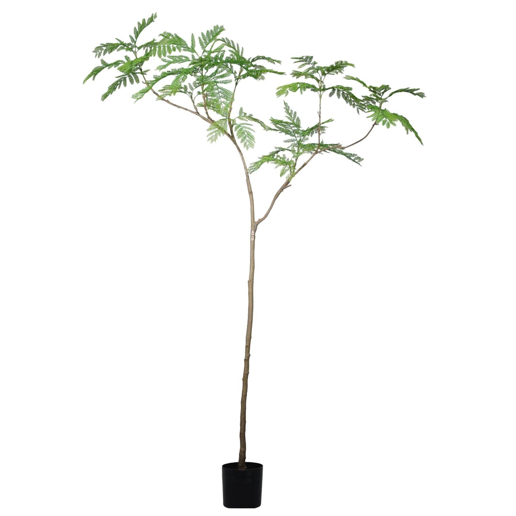 Leaf Design UK LTD – wholesale Artificial plant – 240cm Artificial Jacaranda Realistic Artificial Tree0