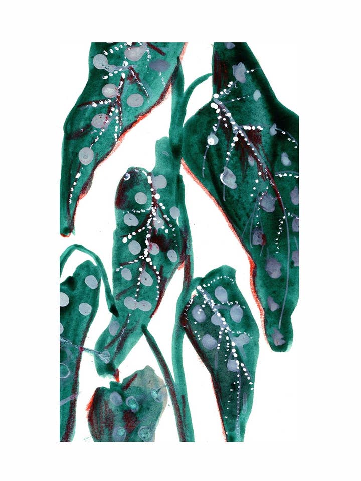 Begonia detail - Greetings Card for wholesale by Maria Zvaric Illustration