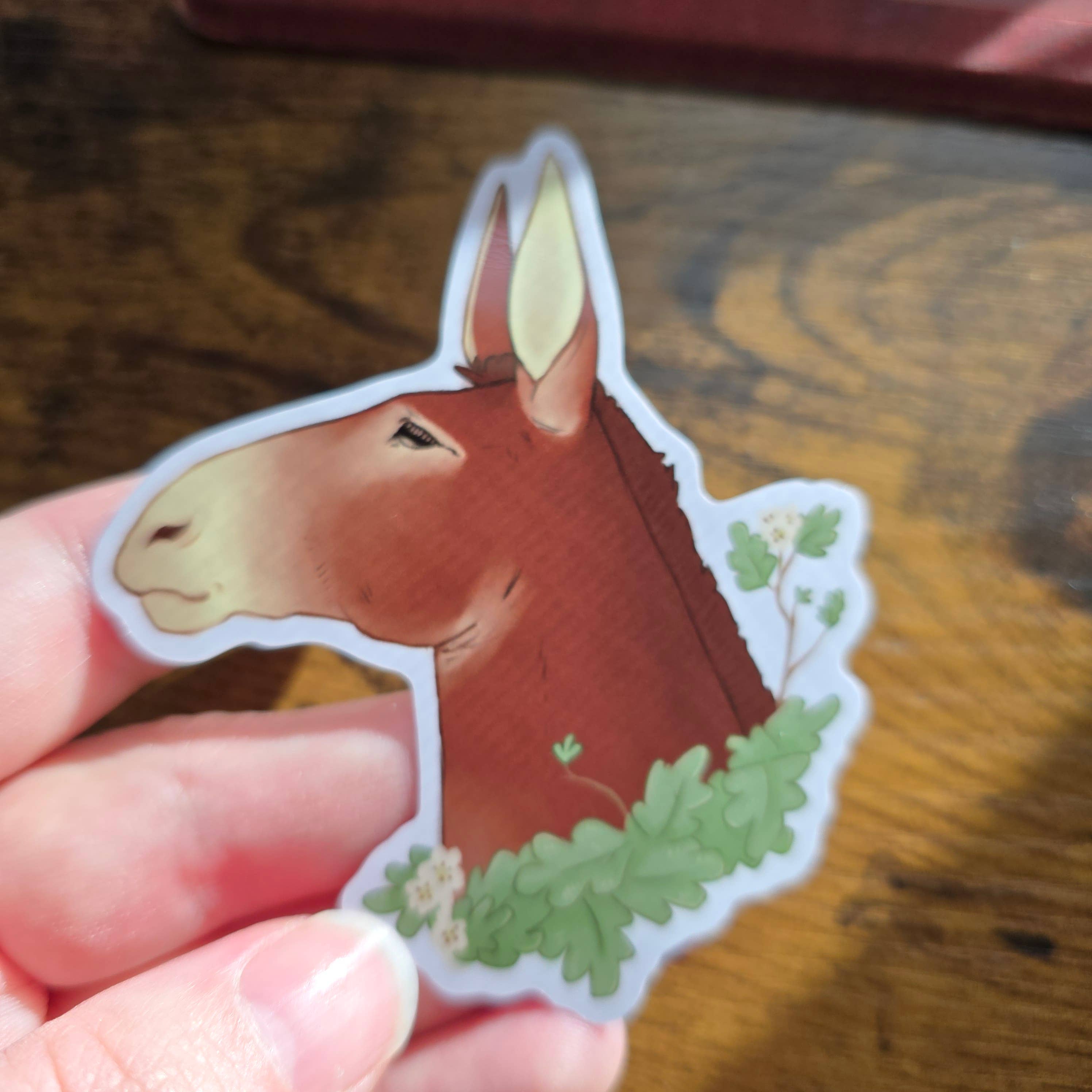 Salt Birch – wholesale Klistermärke – Missouri Mule-klistermärke2