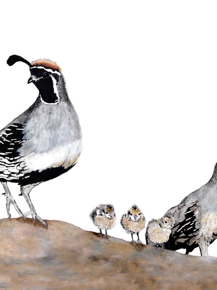 11x14 Prints - Carefree for wholesale by DOLLY ESTELLE