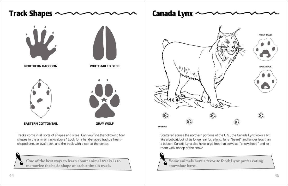 AdventureKEEN - Vente Livre de coloriage – enfant et bébé - Animal Tracks carnet d'activités3