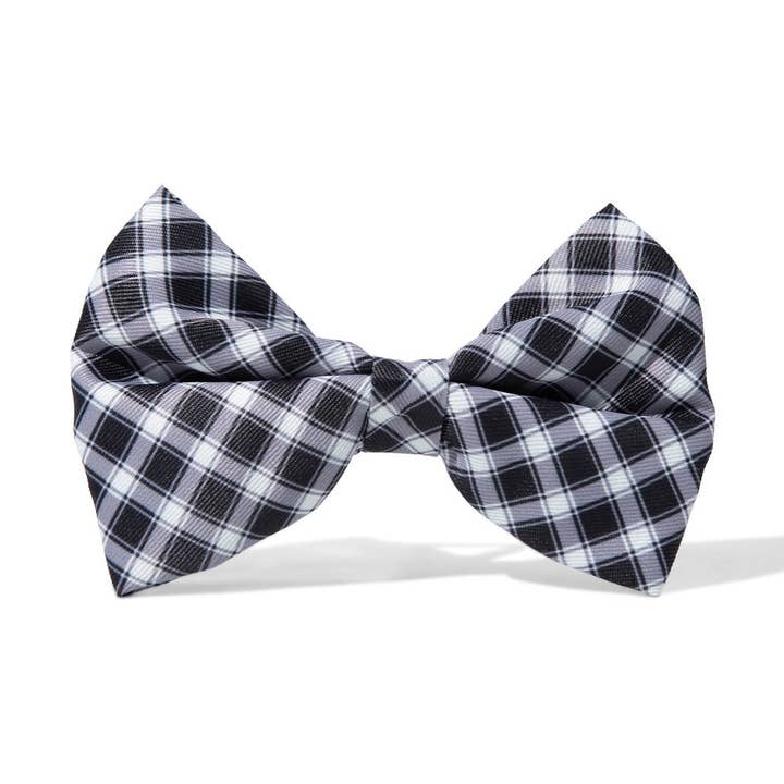 Gravata Leighton | Gravata Preta para Cão | Acessório para Coleira de Cão por atacado de Pink Papyrus | Premium, Durable, & Stylish Dog Products