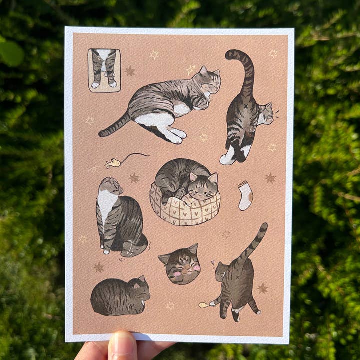Shooley - Wholesale Art Print - Tabby Cat Print
