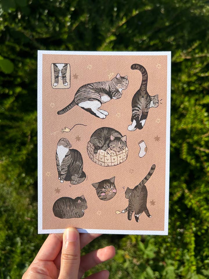 Tabby Cat Print for wholesale by Shooley