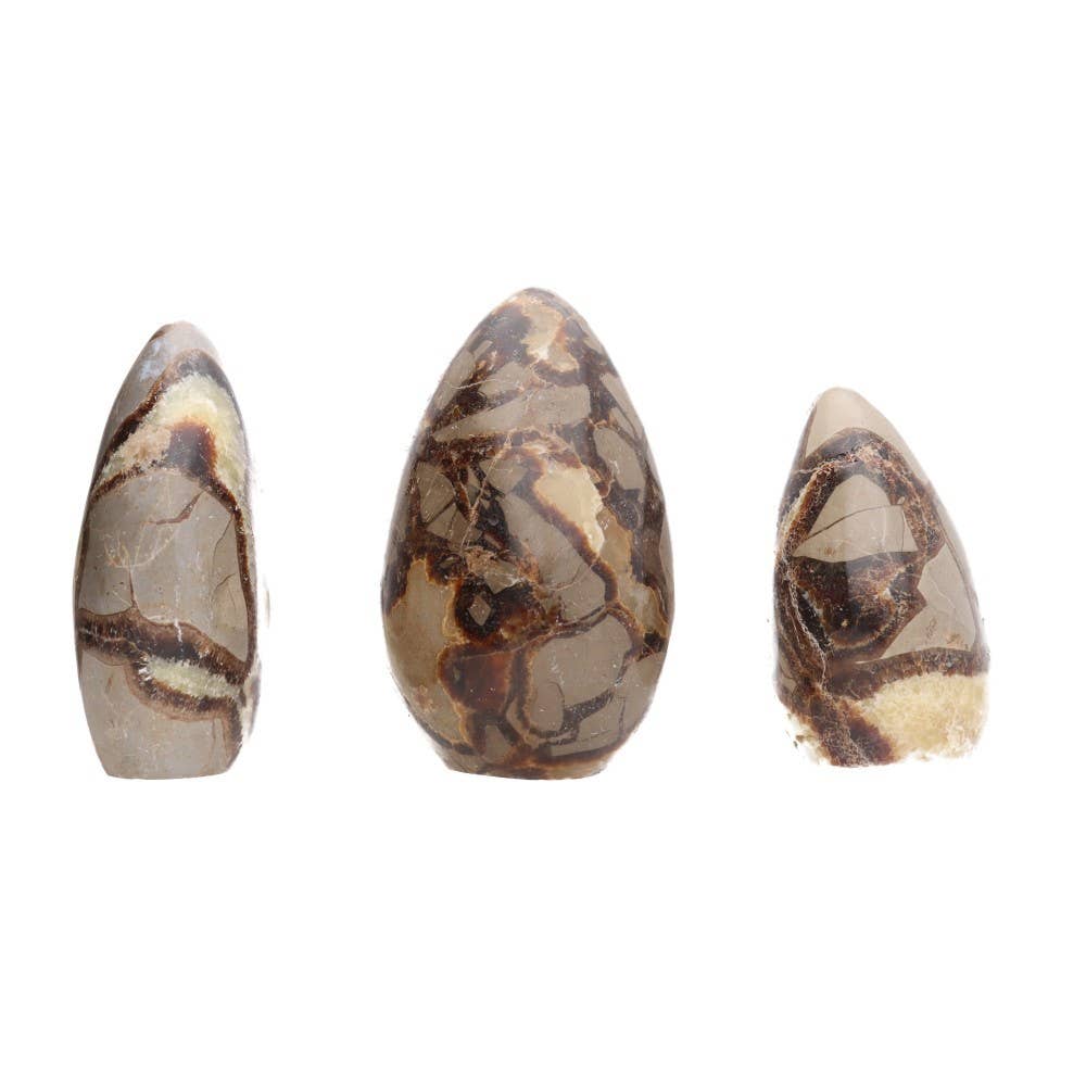 Vives de la Cortada S.L – wholesale Spiritual stone/crystal – Polished forms of Septaria2