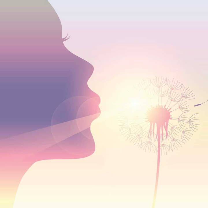 1000 Wishes Fragrance Oil for wholesale by Fizzy Whiz