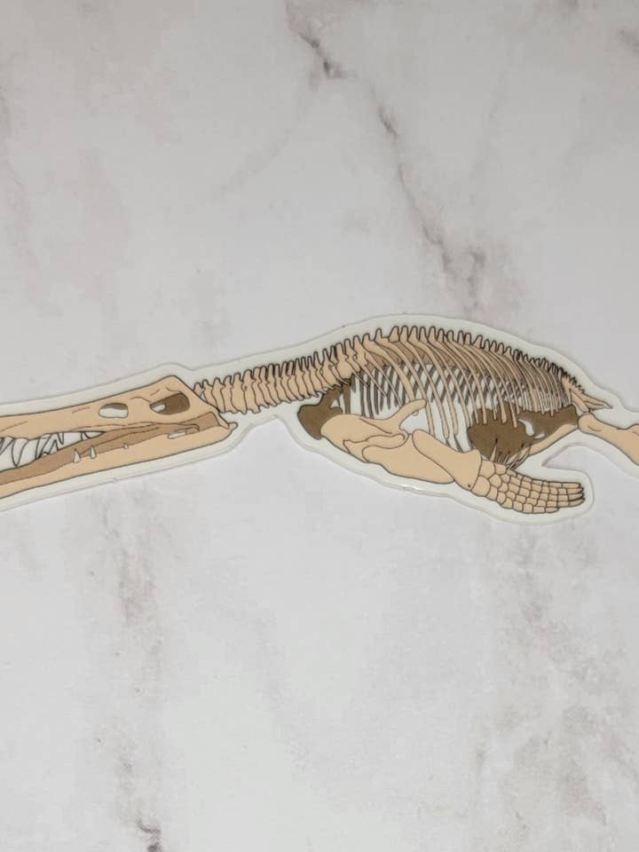 Liopleurodon Fossil Sticker for wholesale by Kingdom Animalia