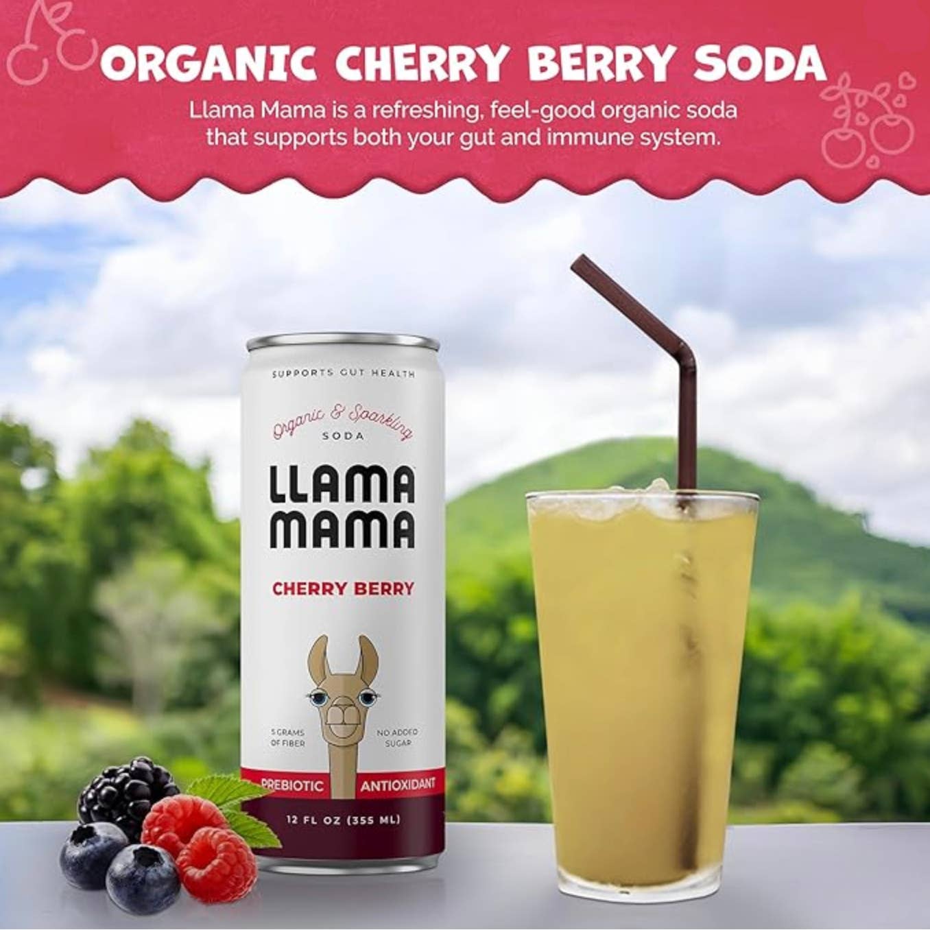 Llama Mama - Wholesale Soda/Carbonated Drink - Cherry Berry 2