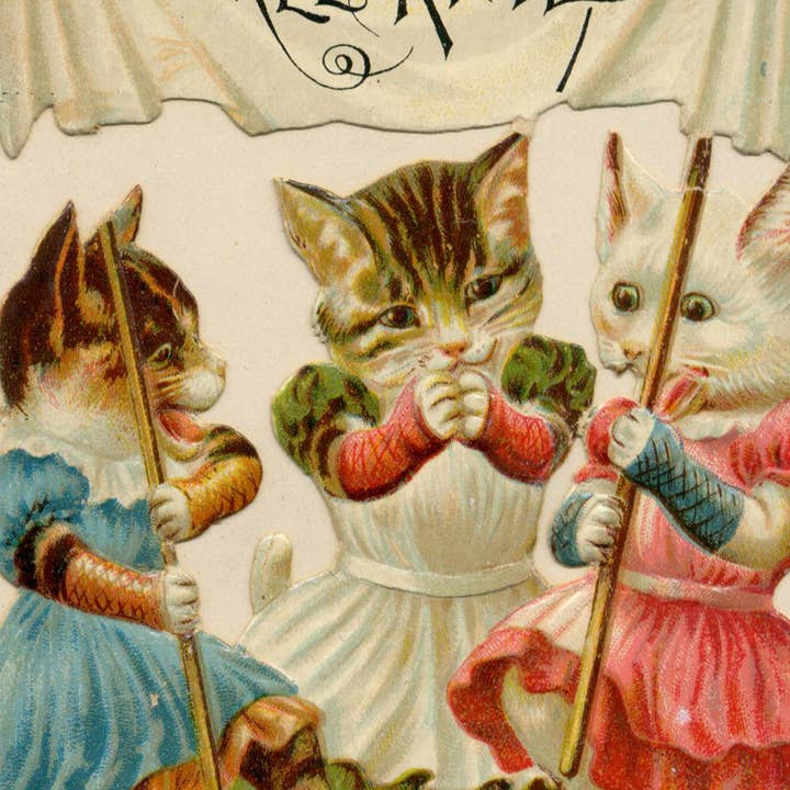 MOMENTS IN THYME - Wholesale Tea Bags - Fairy Tale Tea Gift